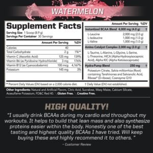 BCAA Delicious Amino Acid Drink for Performance & Recovery - Watermelon