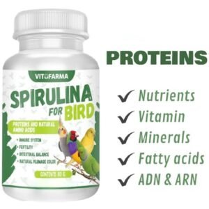 SPIRULINA Organic Bird Carrot 80g Proteins Amino Acids Powder Supplements