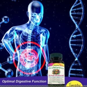 Best Probiotics For Weight Loss, IWALU | *FAST FREE SHIPPING* Same Day